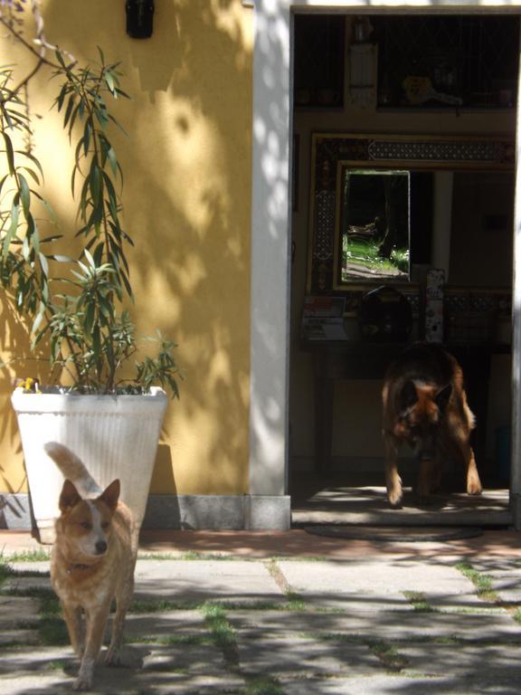Villa Mirano Bed & Breakfast Piossasco Exterior photo